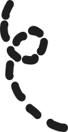 line_union